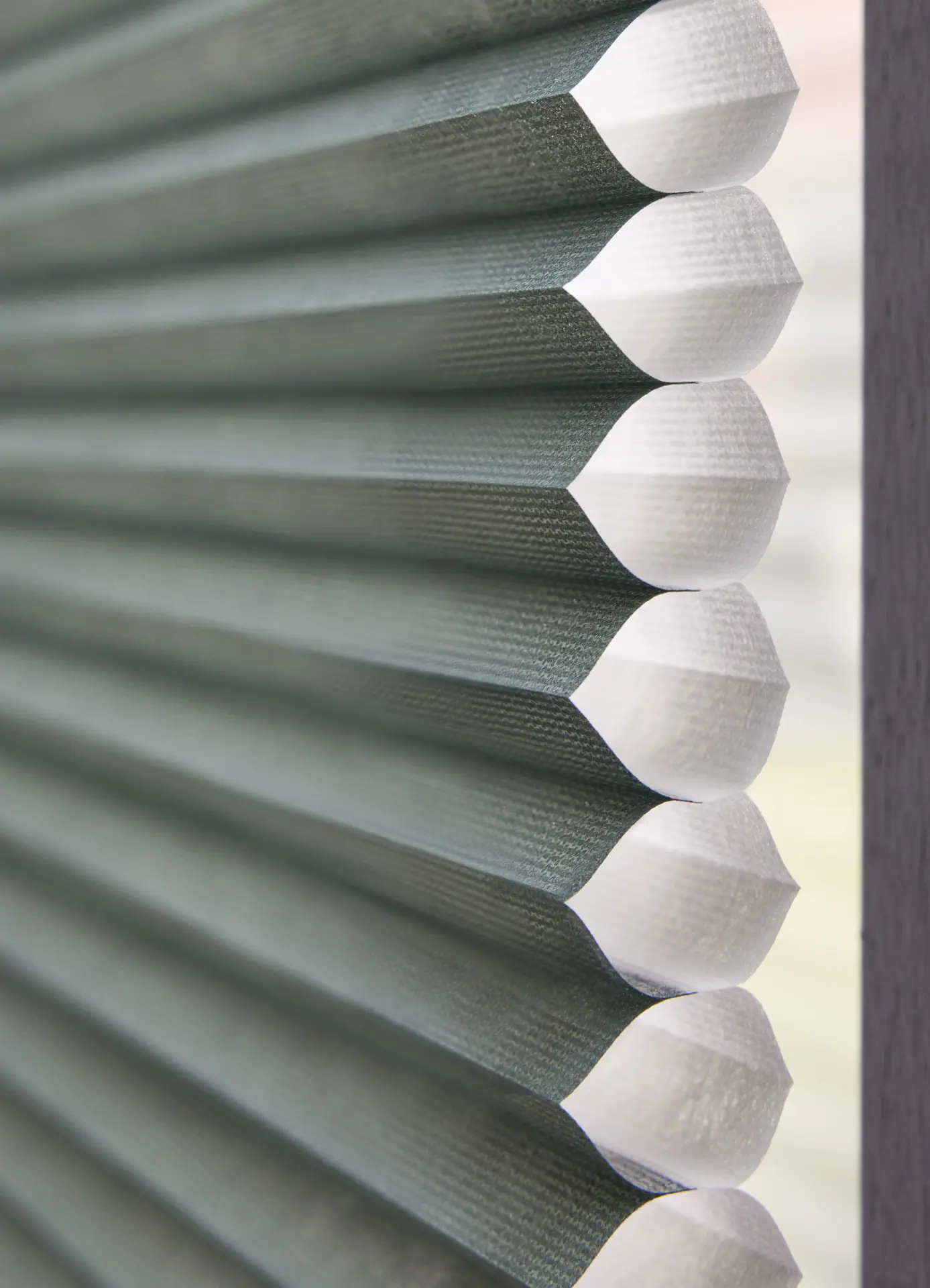 sandnes-markise_plissegardiner_ds_364 sandnes-markise_plissegardiner_ds_364