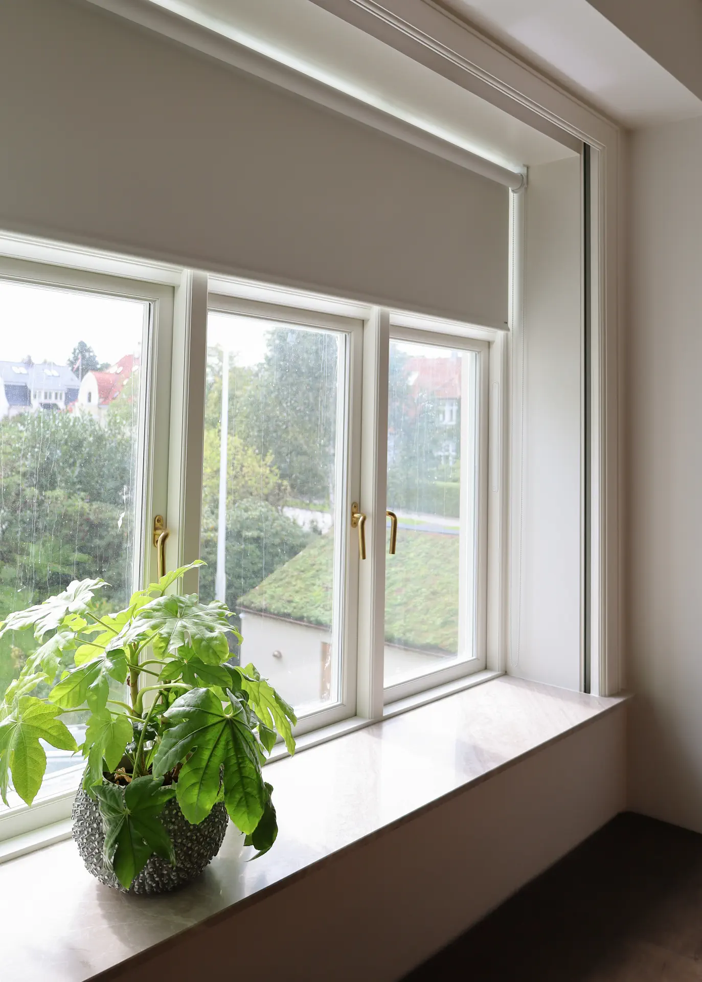 sandnes-markise_rullegardiner_fg_ku_det-gule-pal_2023_23 sandnes-markise_rullegardiner_fg_ku_det-gule-pal_2023_23